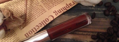 Кому шоколада? Cailyn Pure Lust extreme matte tint + velvet в оттенке 42 salvable