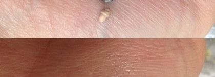 Любимейшая база под тени Inglot eye shadow keeper