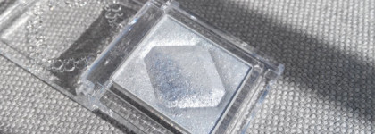 Kose Esprique Select Eye Color BL900