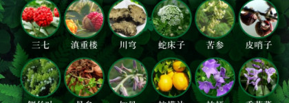 Мой уход для волос: Rausch, Tsubaki, Sebamed и Yangyuanqing