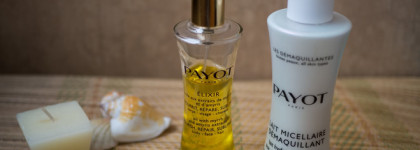 Границы ежедневного ухода: молочко и масло от Payot