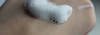 Очищающий пенящийся мусс для умывания "увлажнение и баланс" для жирной и комбинированной кожи от Natura Siberica