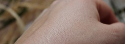 А бронзер ли он? Wet n Wild coloricon  Bronzer SPF 15