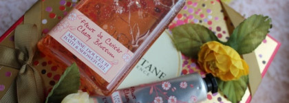Весеннее цветение вишни от L'Occitane