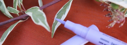 Вечная весна с лайнерами Essense из коллекции wake up, spring