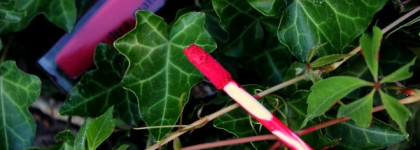 Помада Luxvisage Pin Up uitra matt