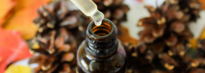 Свежее кедровое масло ручного отжима Natura Siberica