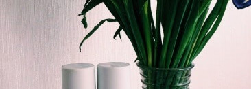 Моё "Уау" после первого мытья волос парочкой Toni&Guy