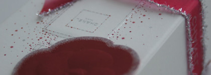 Chanel Camelia De Chanel Illuminating Powder