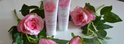 Мой день начинается с нежности, мое утро начинается с роз