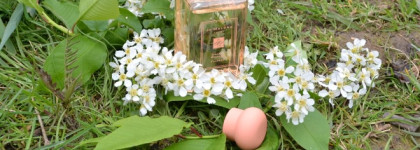 Ко мне постучалась весна: "Orange Blossom" Jo Malone London, cologne