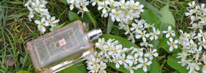 Ко мне постучалась весна: "Orange Blossom" Jo Malone London, cologne