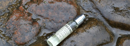 Освежающий и бодрящий «Bergamote 22» Le Labo, edp