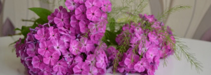 Макияж для южных вечеринок с продуктами Rimmel