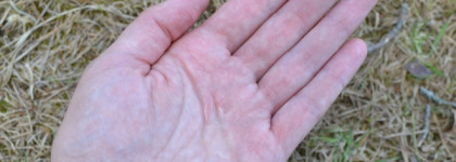 Сила природы для здоровья волос с натуральной косметикой Kamali