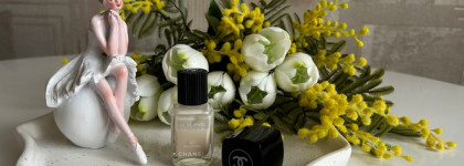 Элегантная ухоженность рук с Chanel Le Vernis Longwear Nail Colour 167 Ballerina