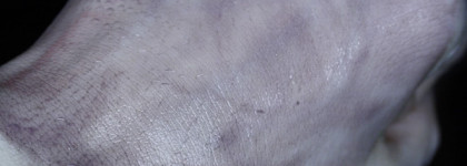 Dior Instant Gentle Cleansing Oil