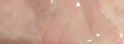 Sensai Silky Purifying Cleansing Oil