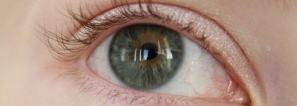 Essence The false lashes mascara Dramatic Volume Unlimited