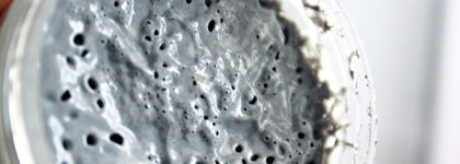 Пузыримся с Elizavecca Milky Piggy Carbonated Bubble Clay Mask