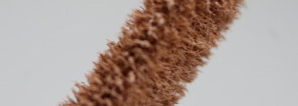 Seventeen Ideal Cover Liquid Concealer #05 Beige