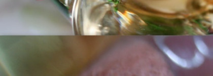 Catrice Longlasting Lip Pencil #020 Macadamia Ahey