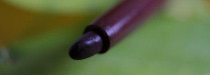 Слива на моих губах с TF liner & shadow #Deep Purple 115