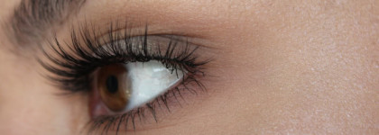 Essence Blossom Dreams Rainbow highlighter и кисть The Whisper of Spring