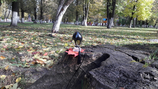 Сезонная смена ароматов