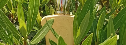 Fiore d'Ulivo Xerjoff Сasamorati для пляжа и отдыха