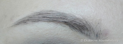 H&M Superfine Browliner и гель для бровей Eva Mosaic Ideal Brow: моя попытка №2