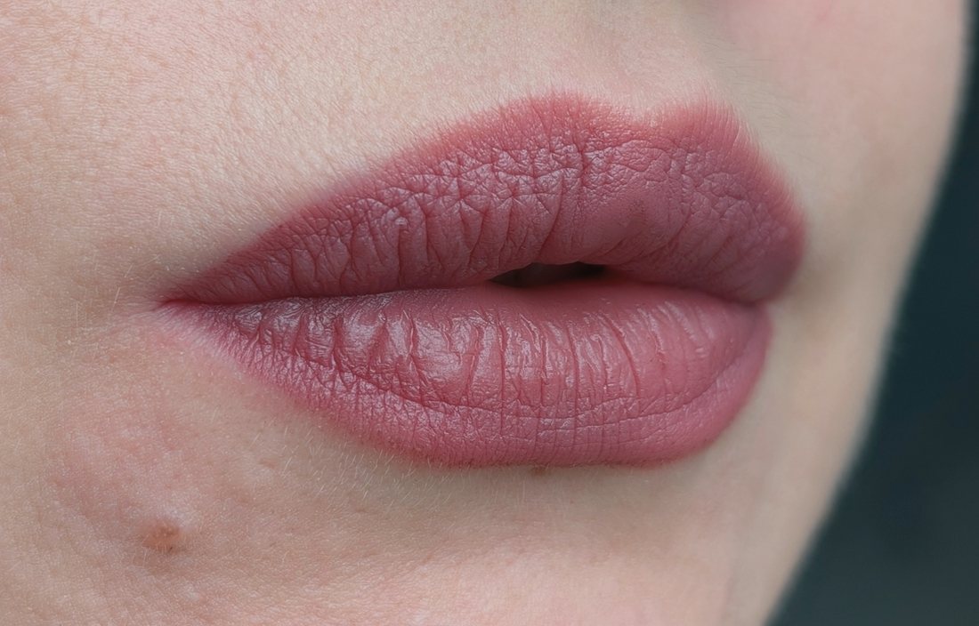MAC MACximal Matte Lipstick Soar, очень тонкий растушеванный слой, дневной свет