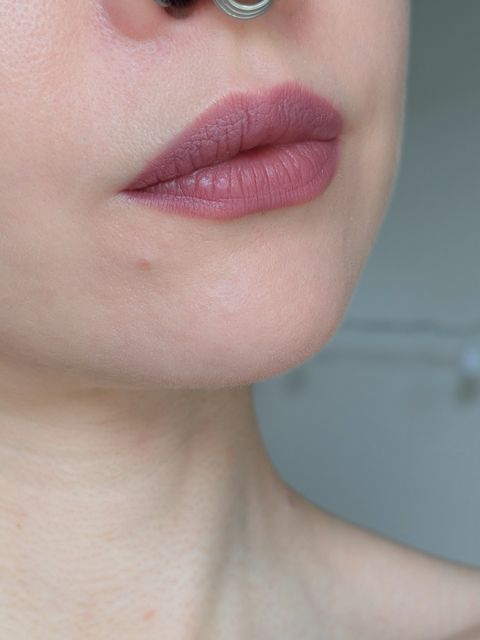 MAC MACximal Matte Lipstick Soar, очень тонкий растушеванный слой, дневной свет