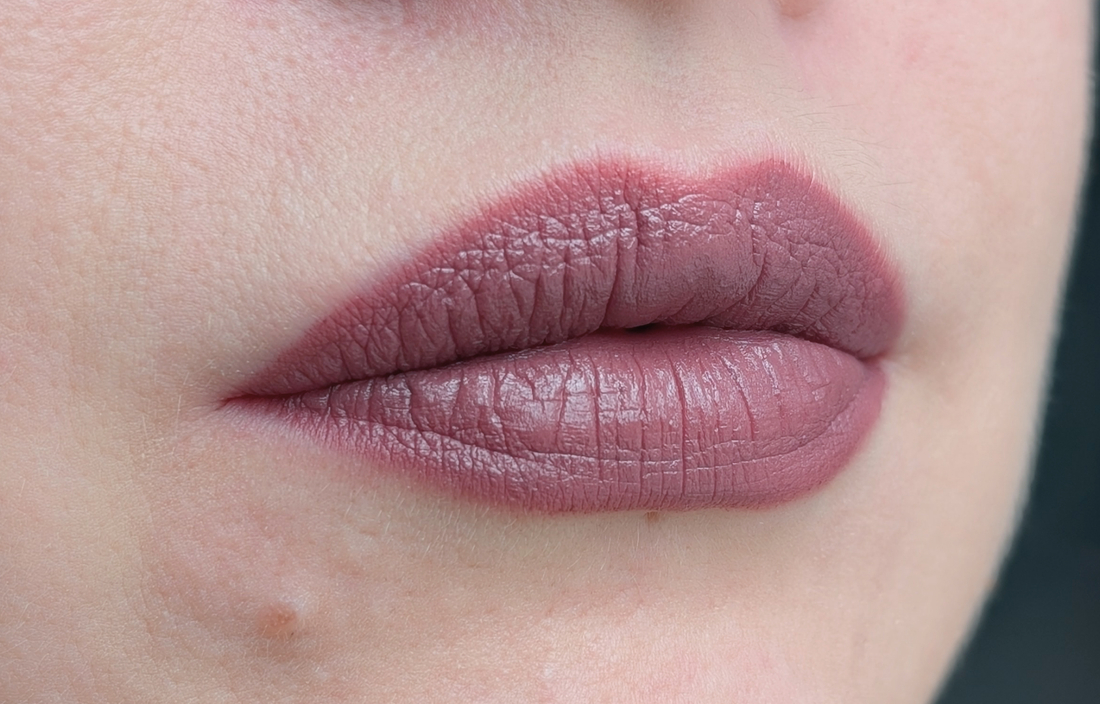 MAC MACximal Matte Lipstick Soar, средний слой, дневной свет