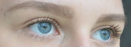 Сестрички Max Factor. Тушь для ресниц 2000 calorie curved brush volume & curl (black) +  masterpiece high definition mascara waterproof (black/brown)