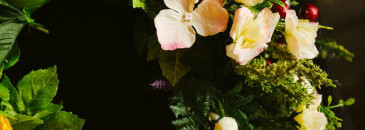 Навстречу природе, навстречу весне с новой Schauma