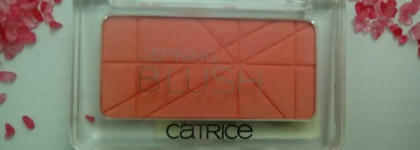 Бюджетное удовольствие. Часть 1. Catrice