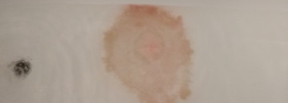 Освежающая бомбочка для ванны Organic Kitchen "Дьявол любит tomato"