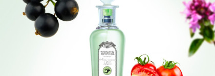 Brocard Ароматы Природы Листья томатов и черной смородины