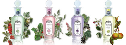 Brocard Ароматы Природы Листья томатов и черной смородины