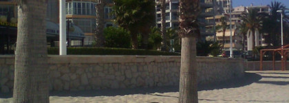 Ароматы трех морей