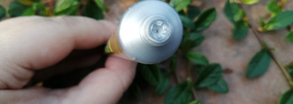 L'occitane и масло Ши (Карите). Бальзам для губ и крем для рук с бергамотом