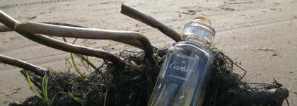 Лучший аромат побережья. Cartier Allegresse