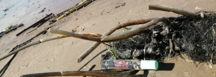 Лучший аромат побережья. Masaki Matsushima Matsu