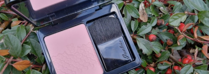 Guerlain Rose Aux Joues Tender Blush №01 Morning Rose