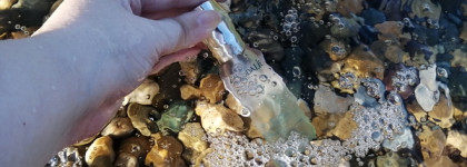 Ещё один Epic Fail с Caudalie Beauty Elixir