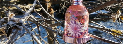 Итоги осени и Halloween