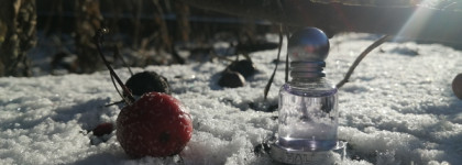 Итоги осени и Halloween