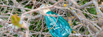 Палитра месяца. Brocard Fruttissimo Thai Smoothie