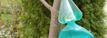 Палитра месяца. Salvador Dali Laguna